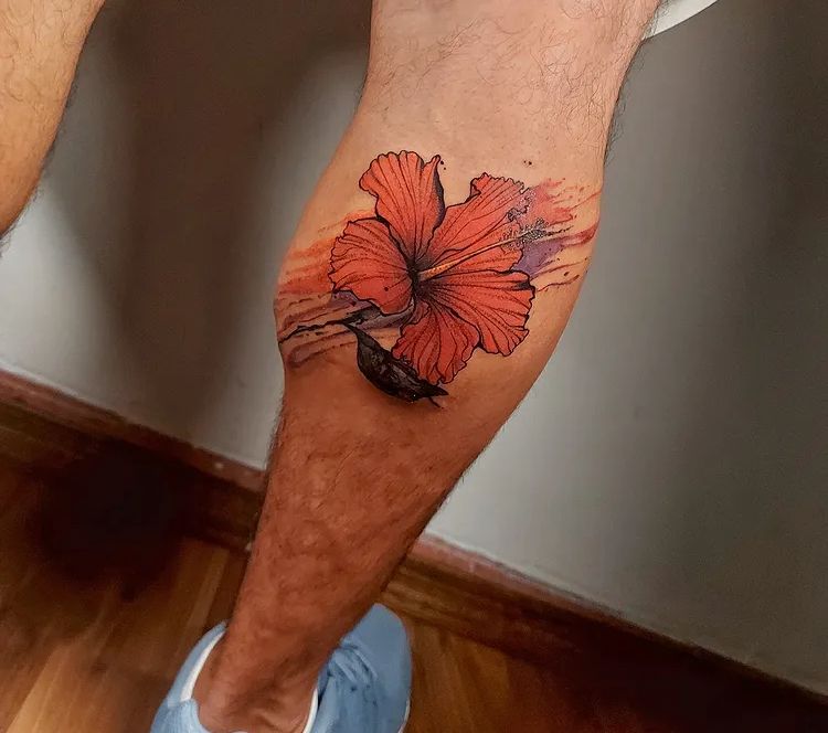 Hibisco